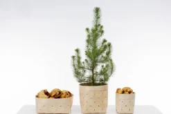 Verso Design Viilu brödkorg, S