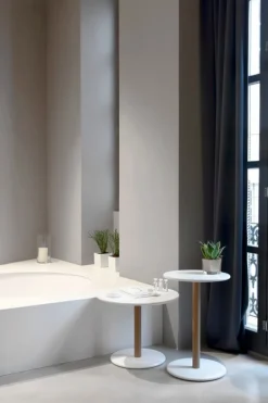 Viccarbe Common lågt bord, 60 cm, matt bok - vitt