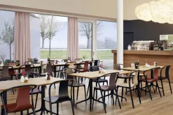 Vitra Belleville stol, svartbetsad ask - svart