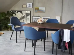 Vitra Organic Chair, oak - chocolate/black