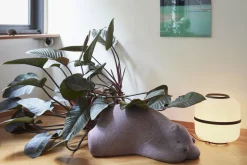 Vitra Resting Bear, malva