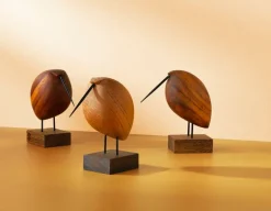 Warm Nordic Beak Bird, Lazy Snipe, ek