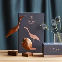 Warm Nordic Beak Bird, Lazy Snipe, ek