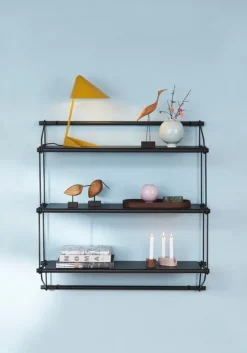 Warm Nordic Beak Bird, Lazy Snipe, ek