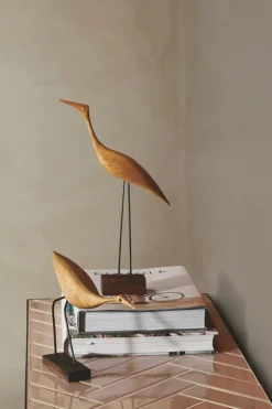 Warm Nordic Beak Bird, Låg Häger, ek