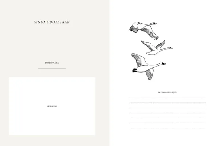 WSOY Saana ja Olli: Vauvakirja